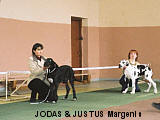 JODAS & JUSTUS Margenis